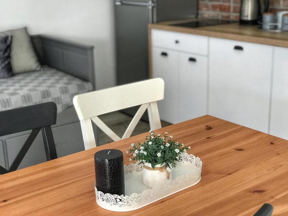 Rina Appartement Donja Jagodnja